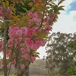 Casa De Quinta *